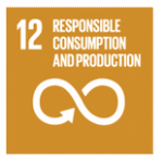 Responsible Consumption And Production