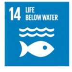 Life Below Water