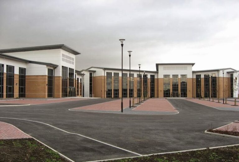 business image 0 113 768x519