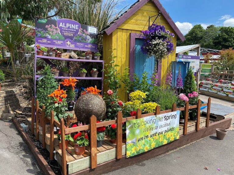 business image 0 124 768x576