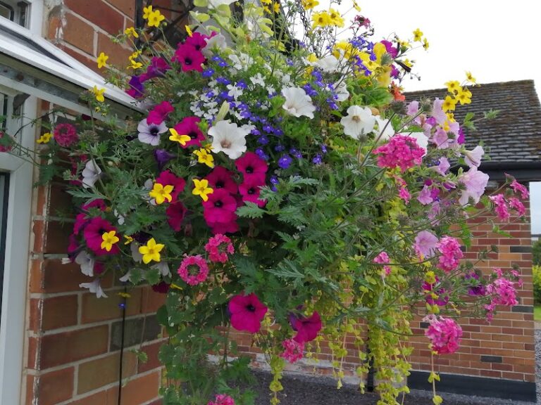 business image 0 125 768x576