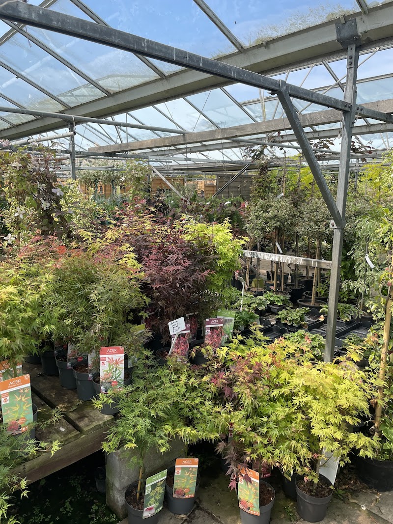 business image 0 126