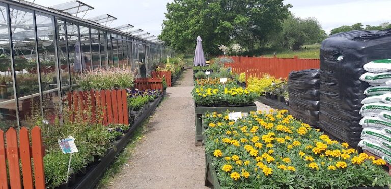 business image 0 128 768x373