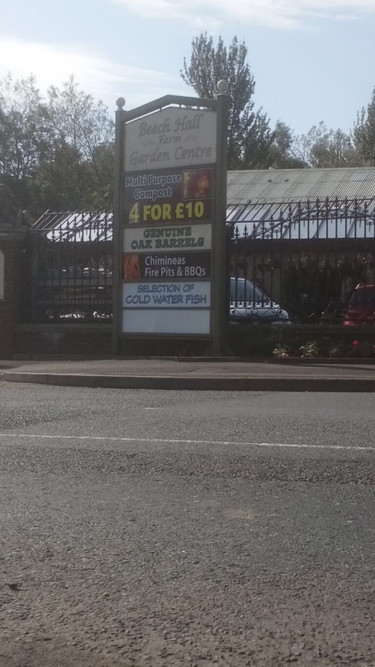 business image 0 129 768x1365