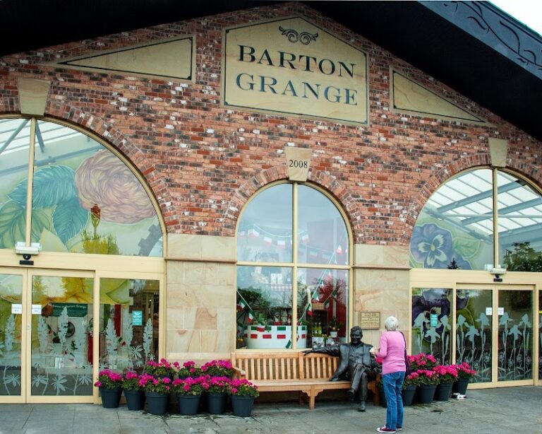 business image 0 133 768x614