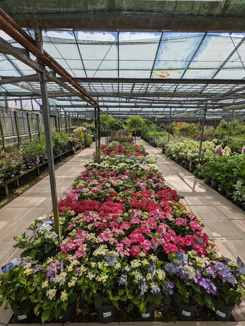 business image 0 135