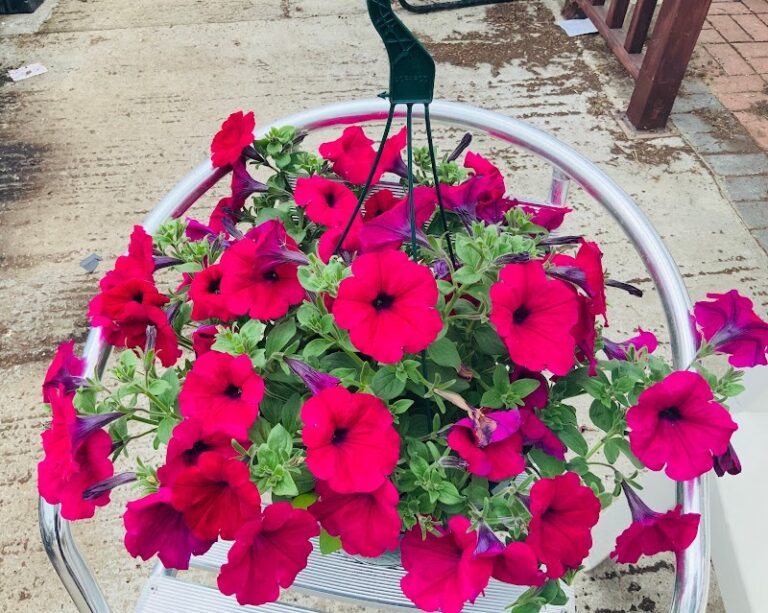 business image 0 136 768x613