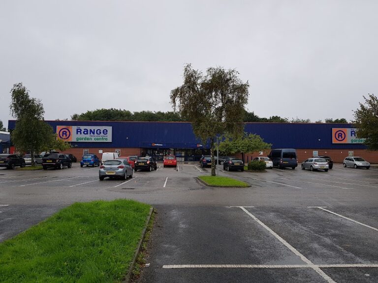 business image 0 137 768x576