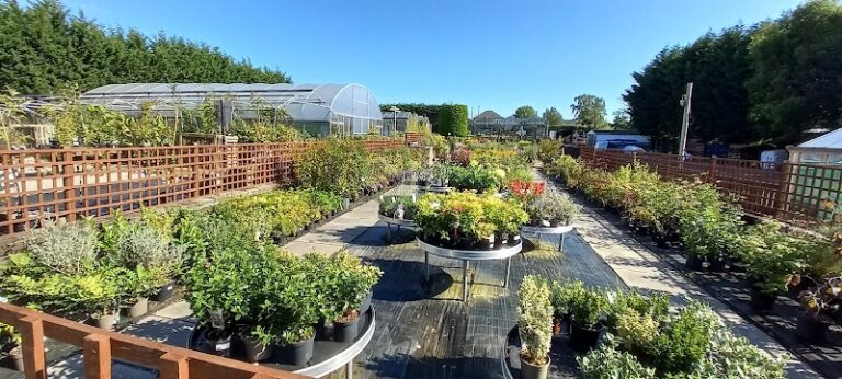 business image 0 139 768x346