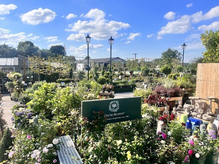 business image 0 141 768x576