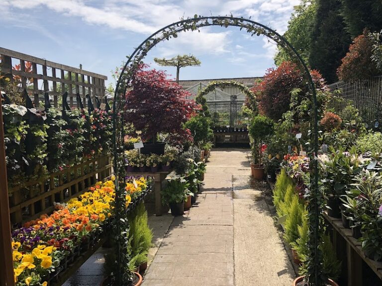 business image 0 142 768x576