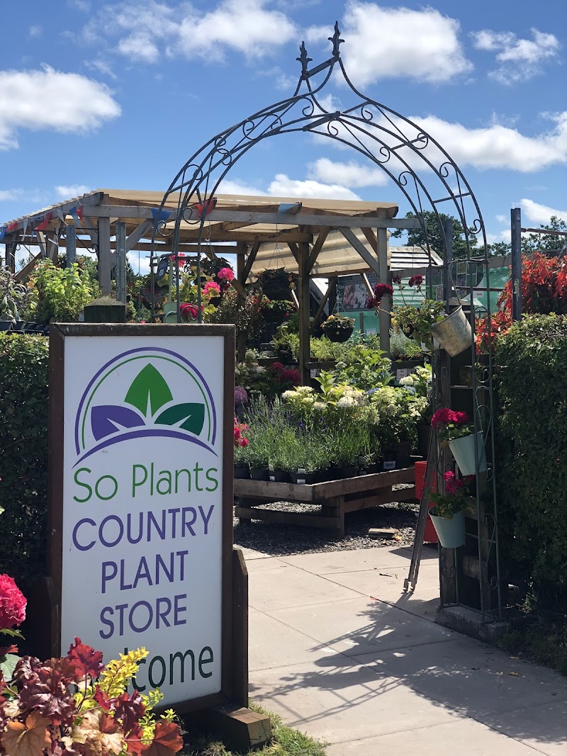 business image 0 143