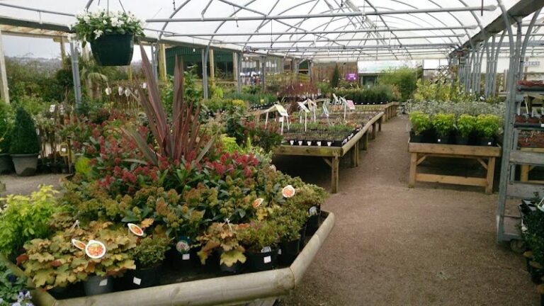 business image 0 144 768x432