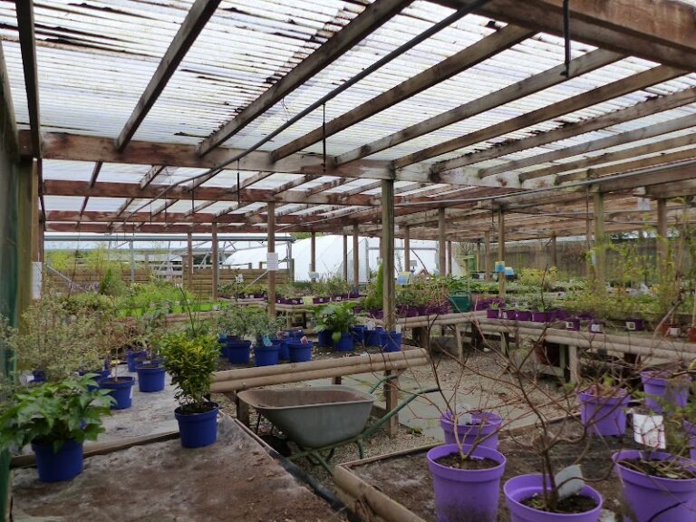 business image 0 146 768x576