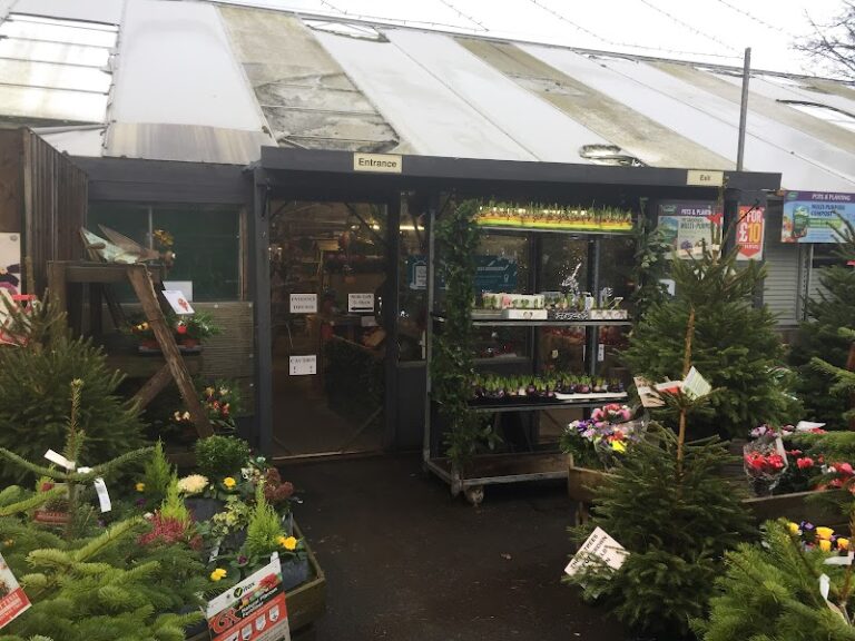 business image 0 148 768x576