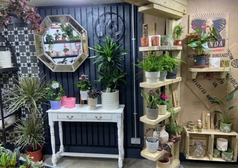 business image 0 153 768x542