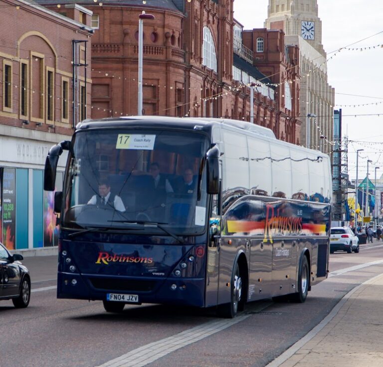 business image 0 162 768x737