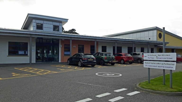 business image 0 204 768x432