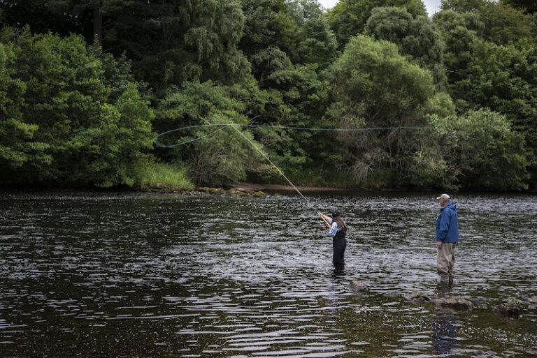 business image 0 210 768x513