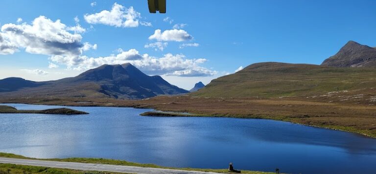 business image 0 213 768x355