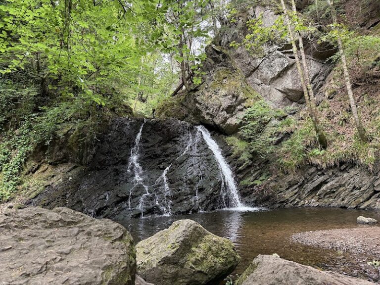 business image 0 215 768x576