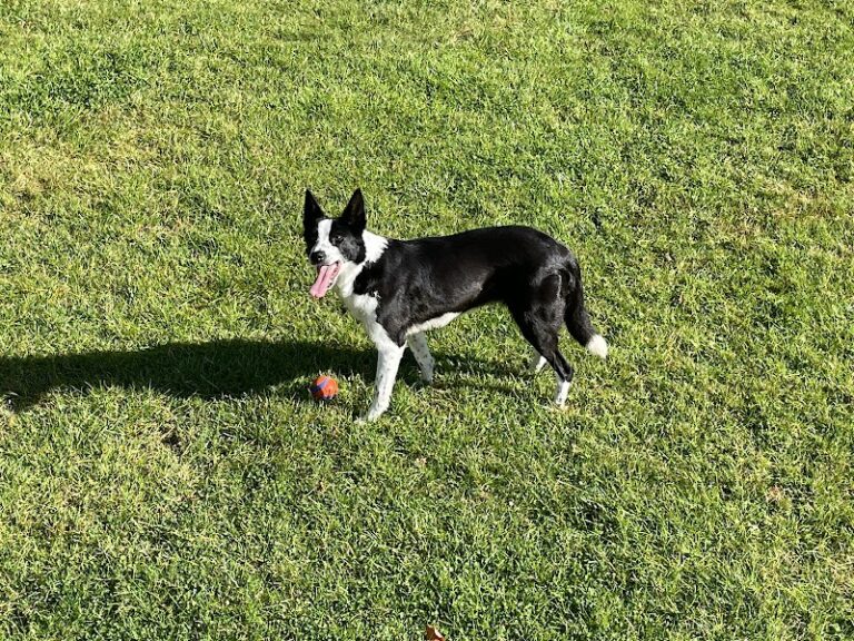 business image 0 222 768x576