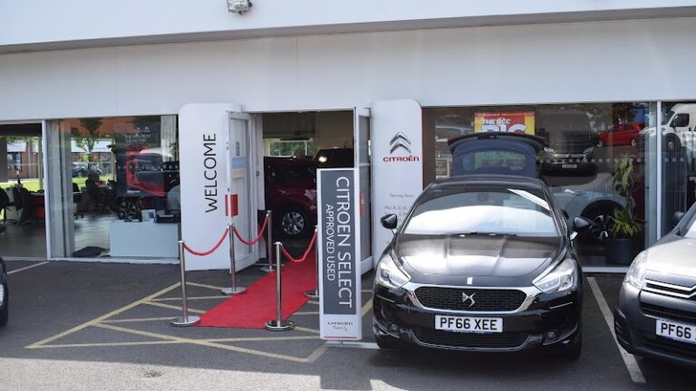 business image 0 50 768x432