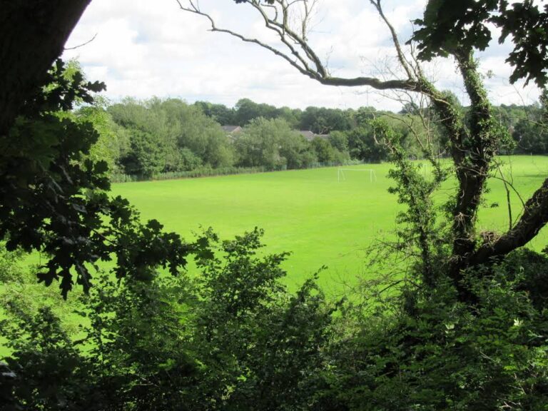 wake green amateur football club 768x576