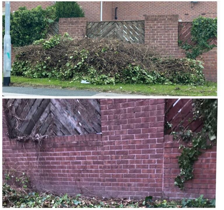 waste force limited 768x720