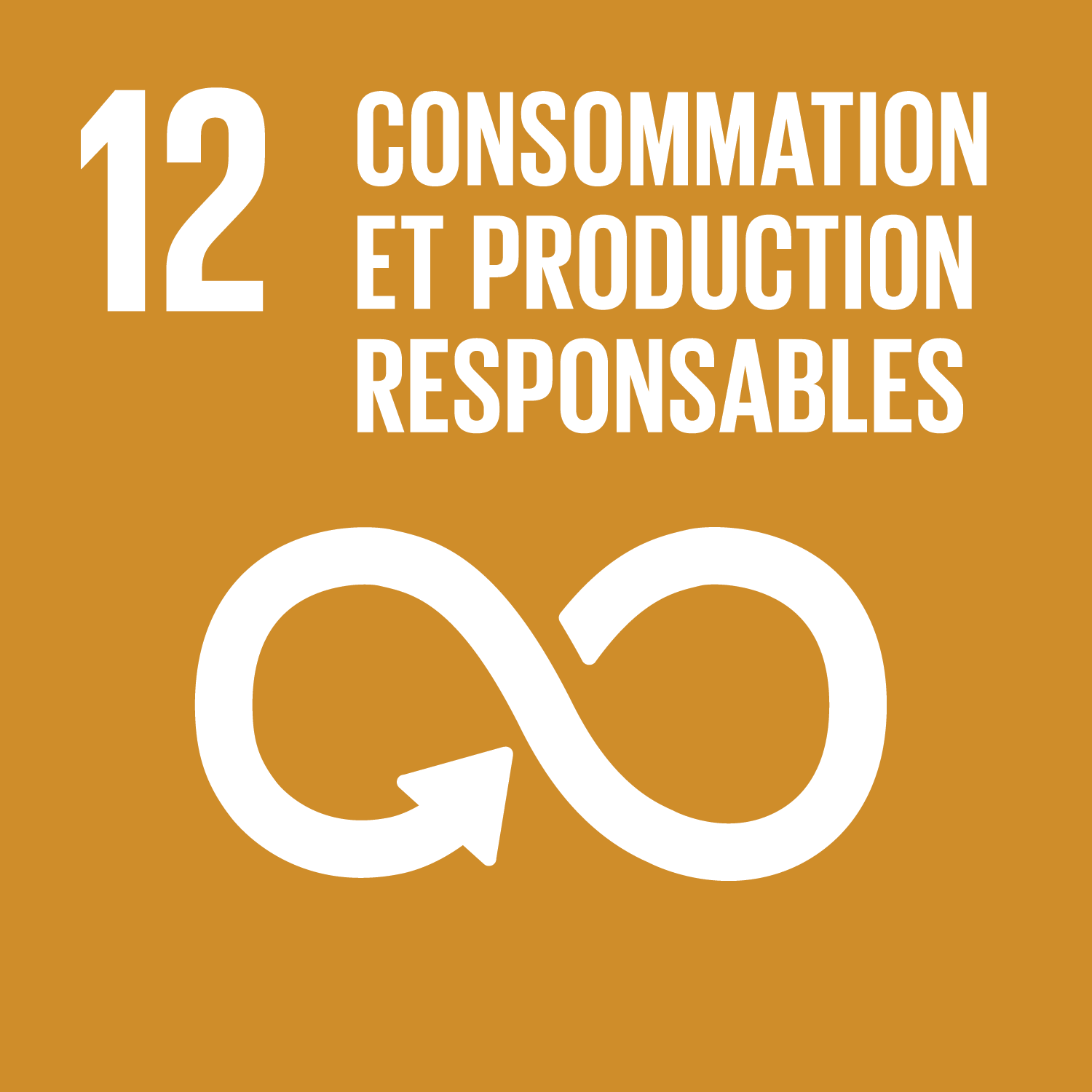 SDG 12 icon