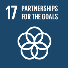 SDG 17 icon