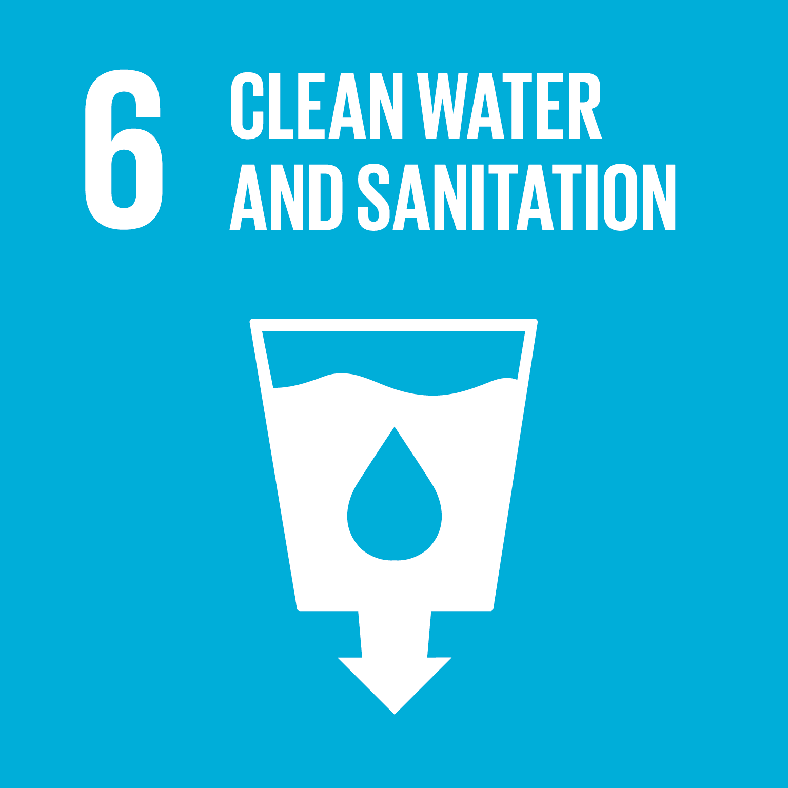 SDG 6 icon