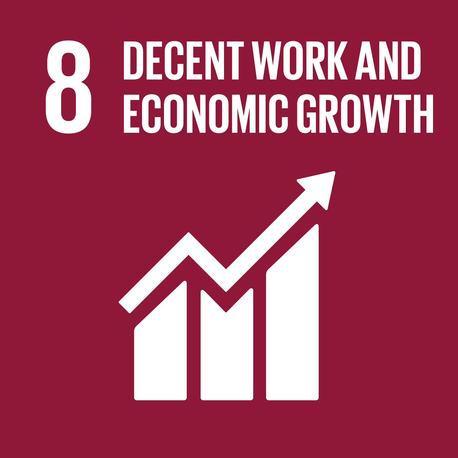 SDG 8 icon